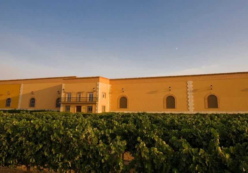 Our Winery in Toro