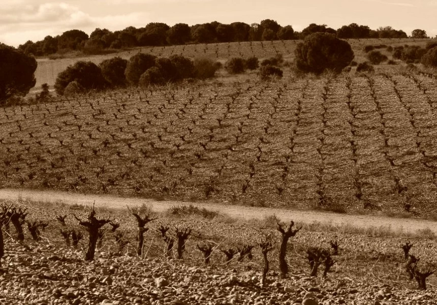 Quiénes somos Bodegas Sobreño